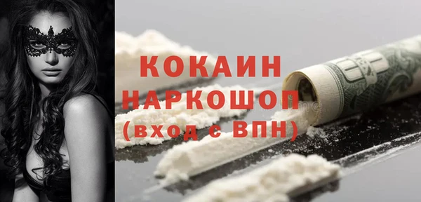 сатива Абинск