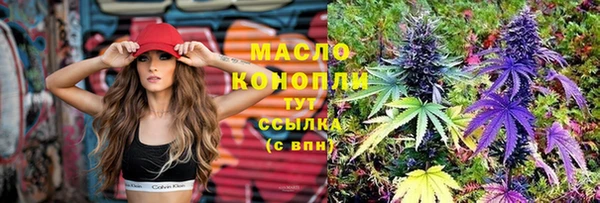 тгк Абаза
