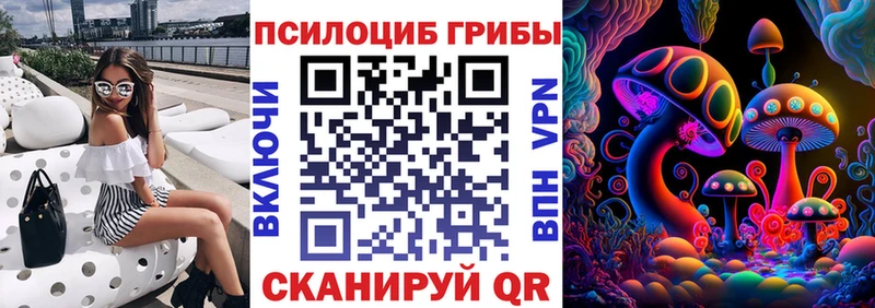 Псилоцибиновые грибы Psilocybe  Адыгейск 